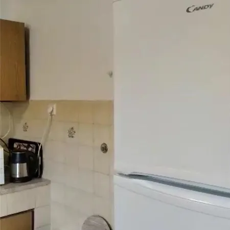 In * 폴카